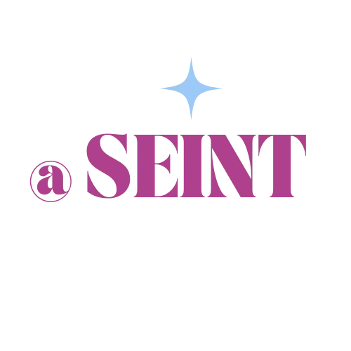 SEINT Logo